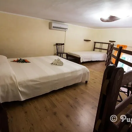 Gæstehus Il Gallo Monopoli